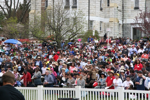The crowd