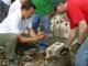 Fr. Michael Mitchell LC working on mission in Mexico