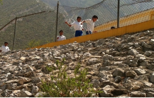Fence needs repair