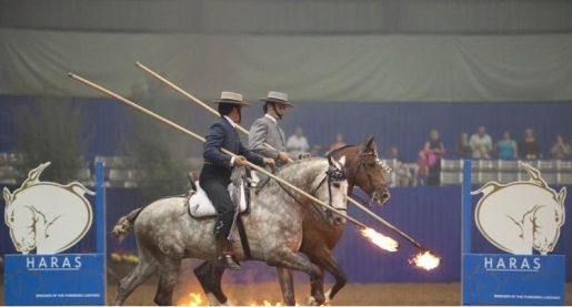 Rider at Haras dos Cavaleiros
