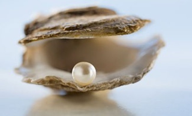 Pearl in Oyster